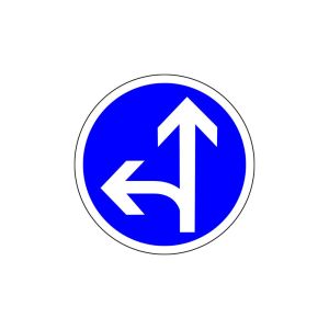 Road sign go straight or turn left